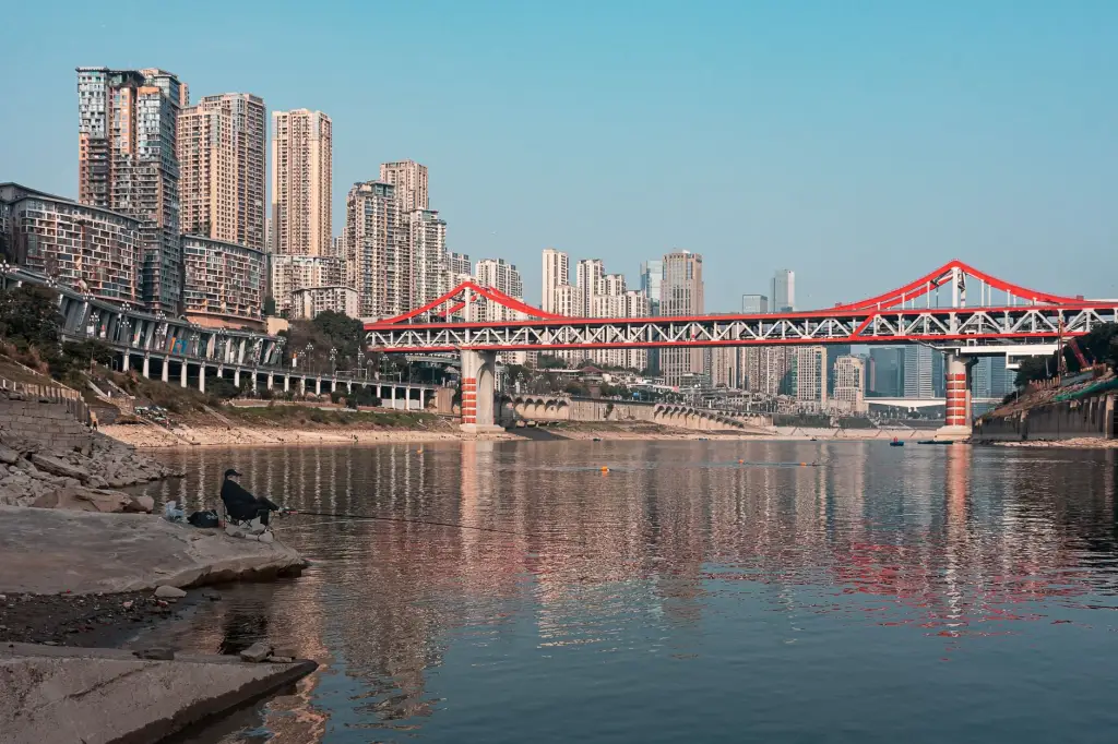 消防照明设备选购指南：如何为建筑配置合适的安全出口灯