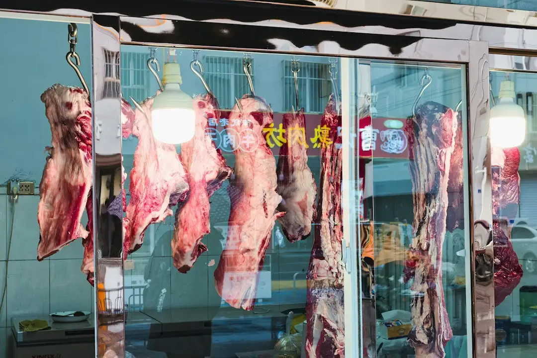 应急照明集中电源与分散式备用电源方案在疏散指示工程中的对比分析